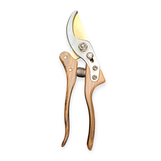 مقص تقليم الأشجار