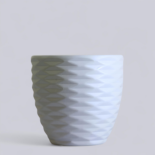 قصرية زرع باللون الأبيض