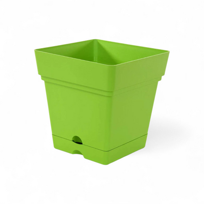 وعاء نبات مربع مقاس 18×20 (اخضر)