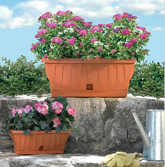 حوض ميكسيكي خورشيد 28×61