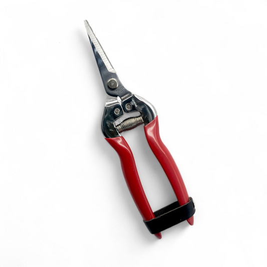 مقص تقليم دقيق للزهور والاعشاب