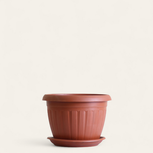 قصرية زرع مقاس 25سم (خورشيد)