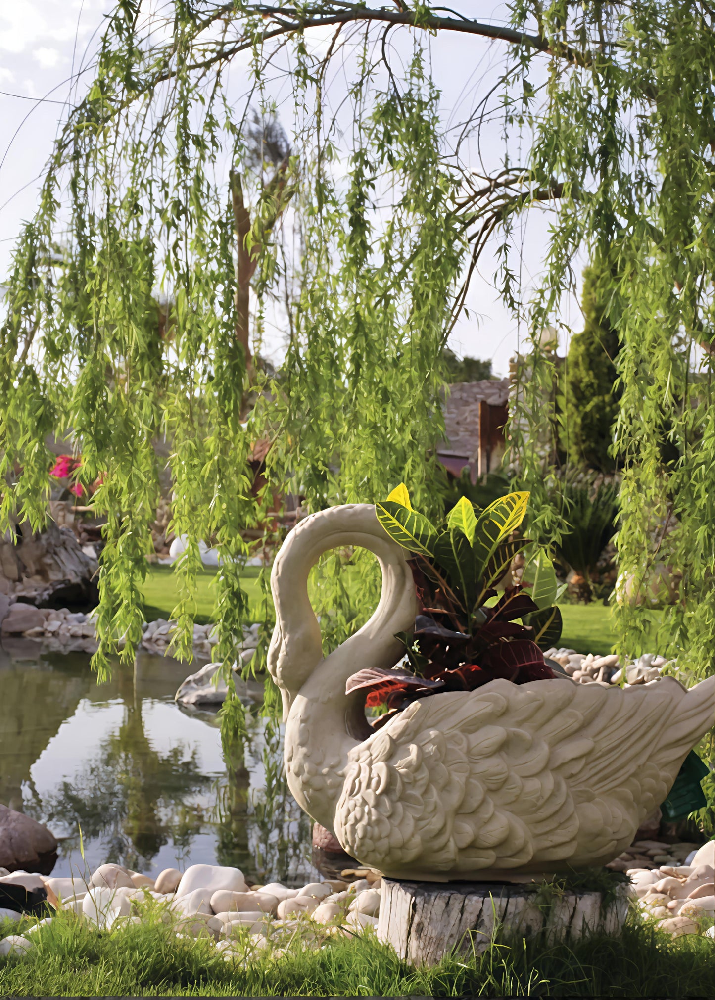 حوض زرع كنزي (بجعة)